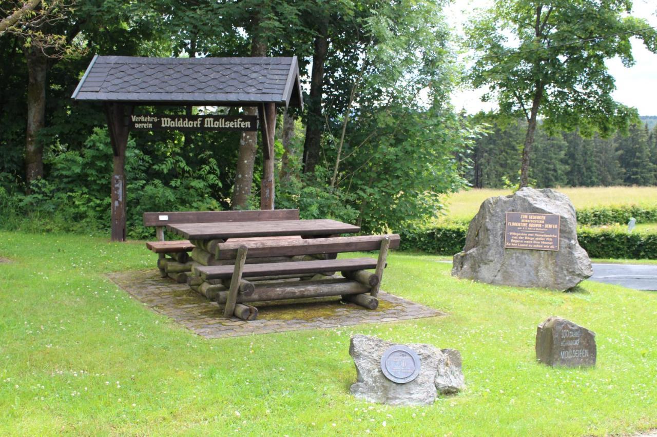 Ferienhaus Am Ruhberg Winterberg Zewnętrze zdjęcie