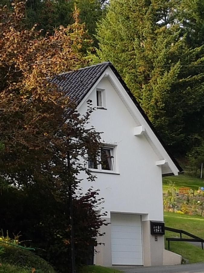 Ferienhaus Am Ruhberg Winterberg Zewnętrze zdjęcie