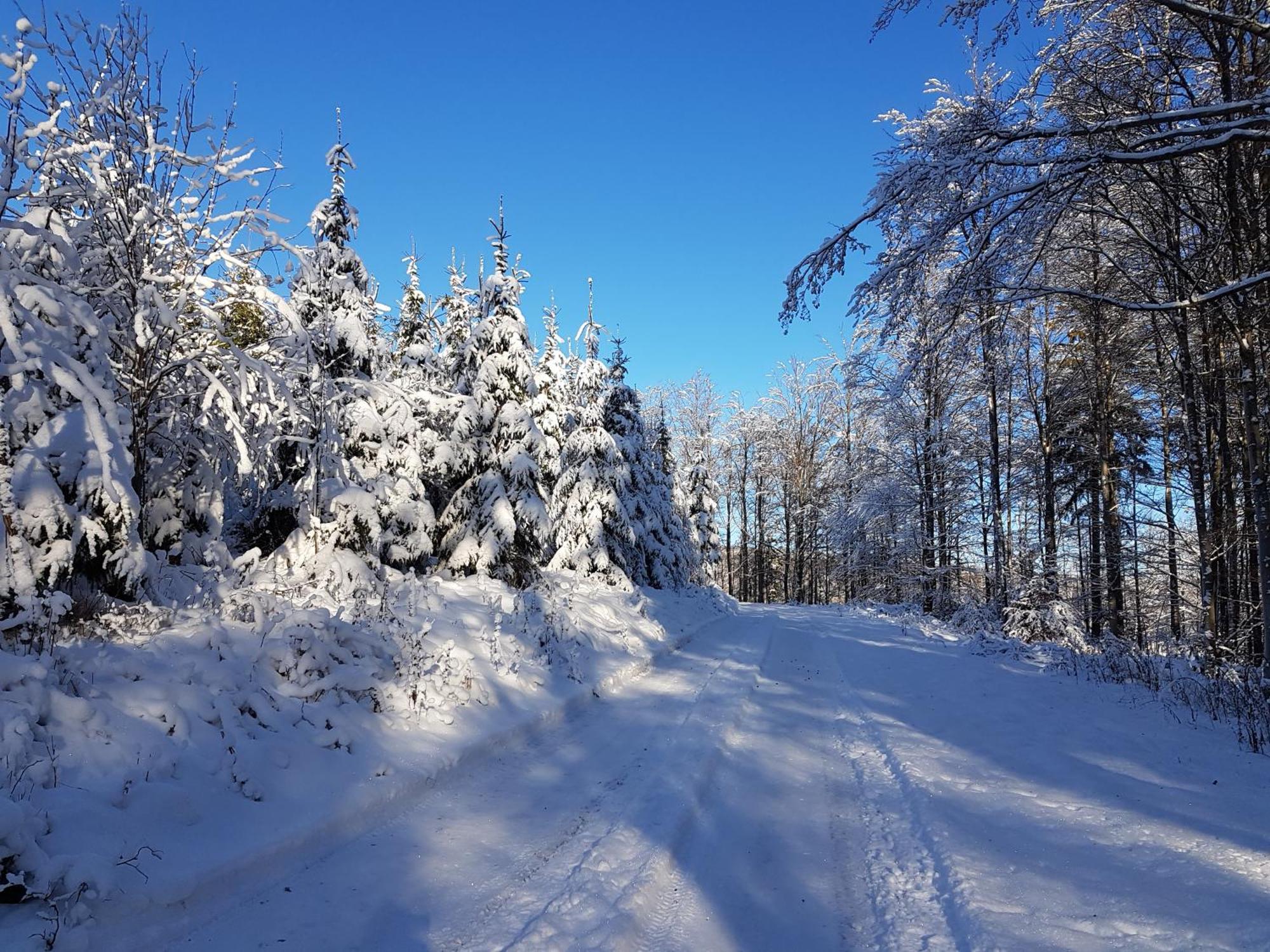 Ferienhaus Am Ruhberg Winterberg Zewnętrze zdjęcie