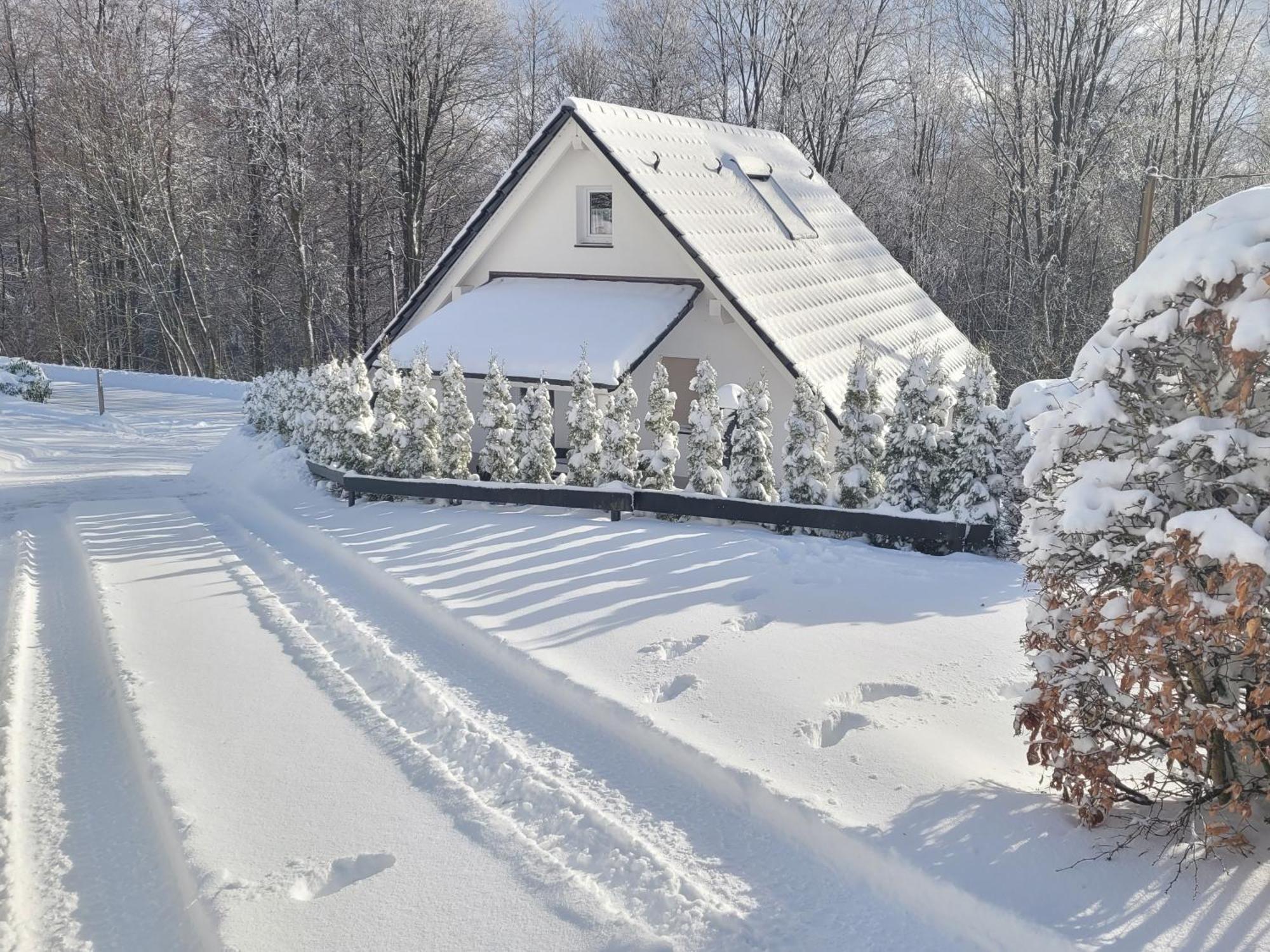 Ferienhaus Am Ruhberg Winterberg Zewnętrze zdjęcie