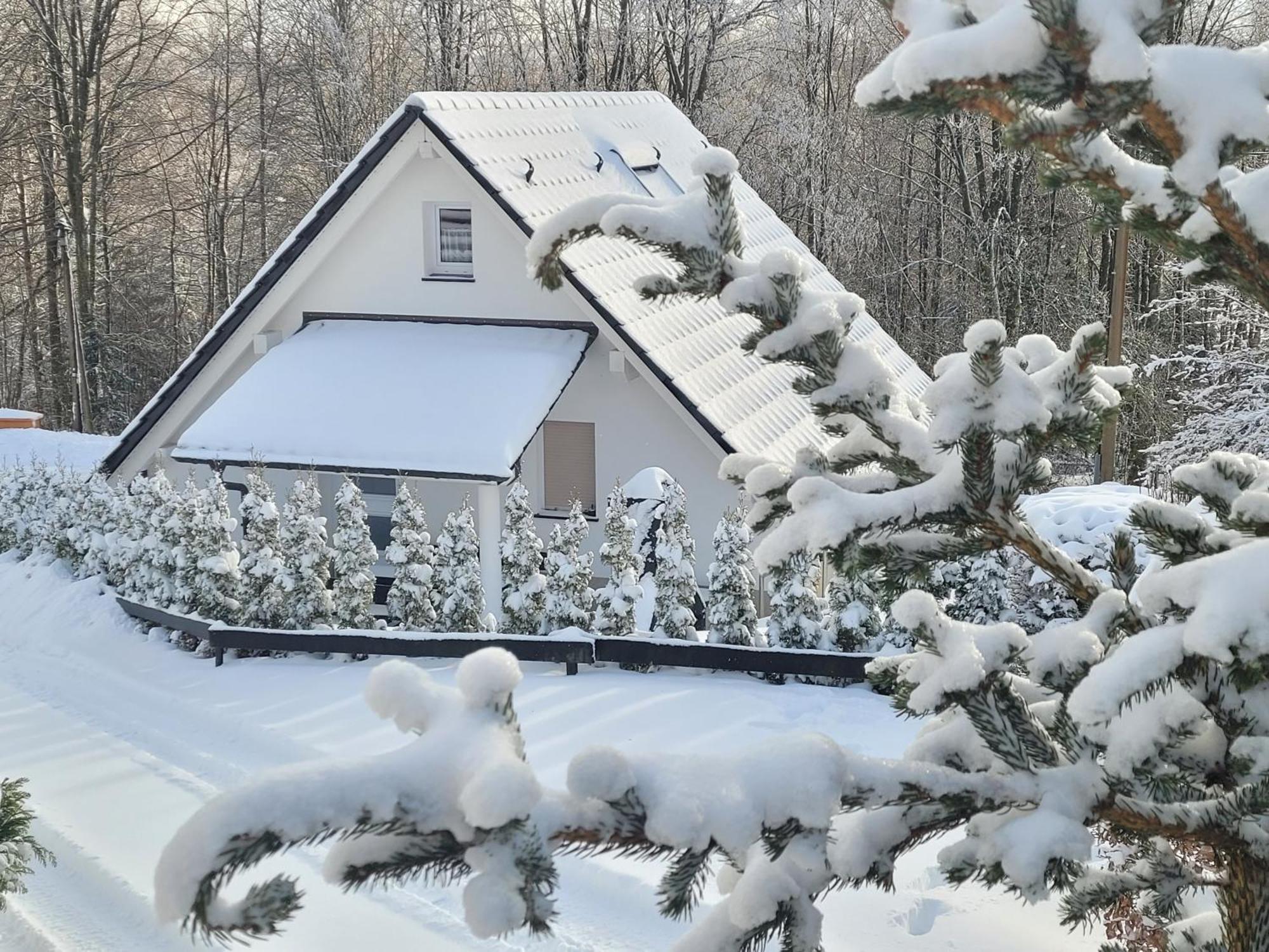 Ferienhaus Am Ruhberg Winterberg Zewnętrze zdjęcie